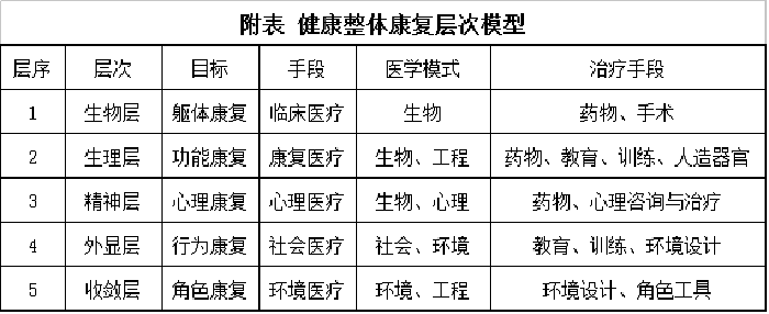 大康复医学层次模型.png