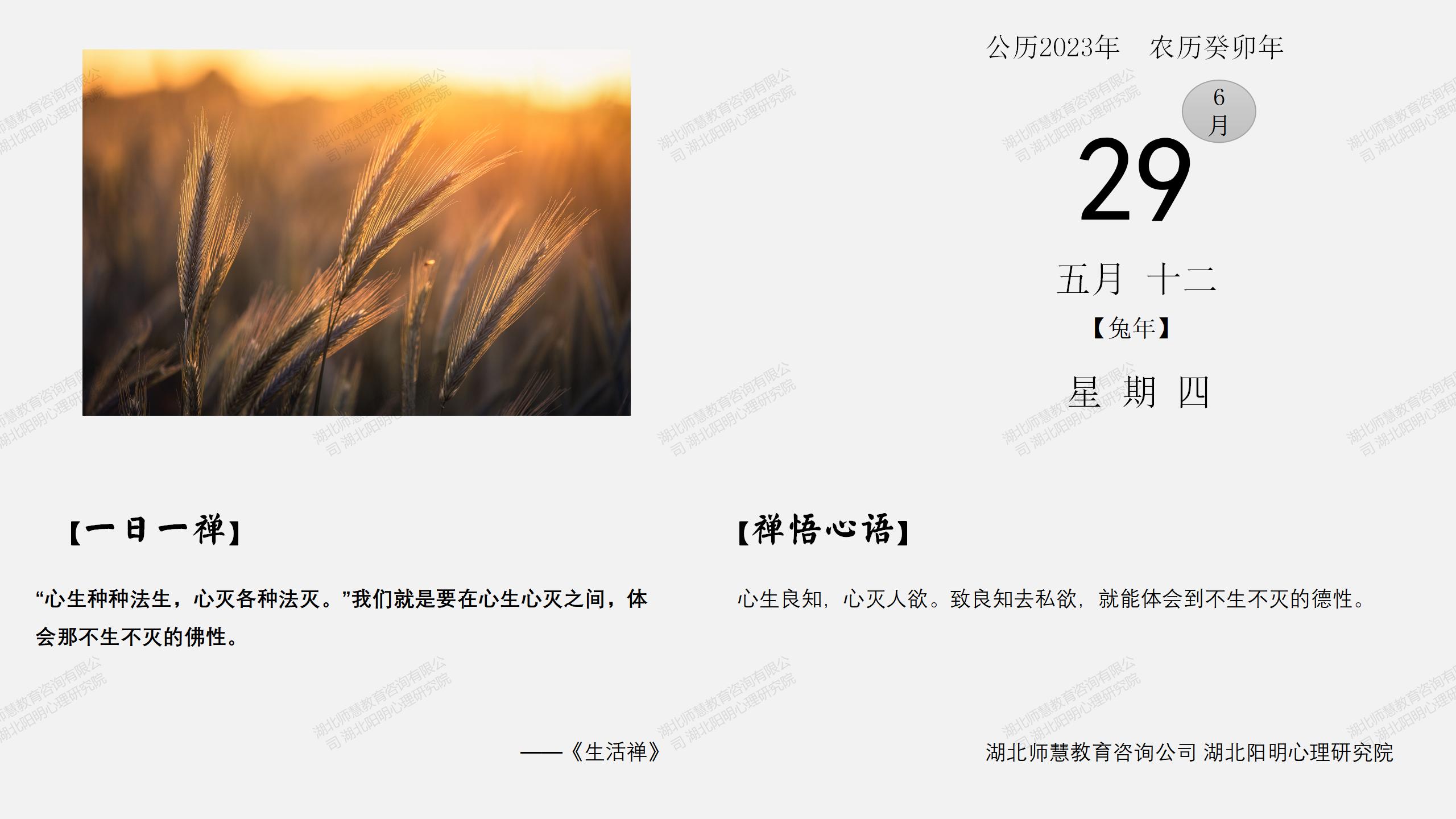 6月29日_01.jpg