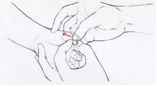 补脾经.png
