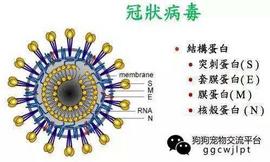 如何判定新冠状疑似病例、确诊病例、轻症病例和无症状感染者